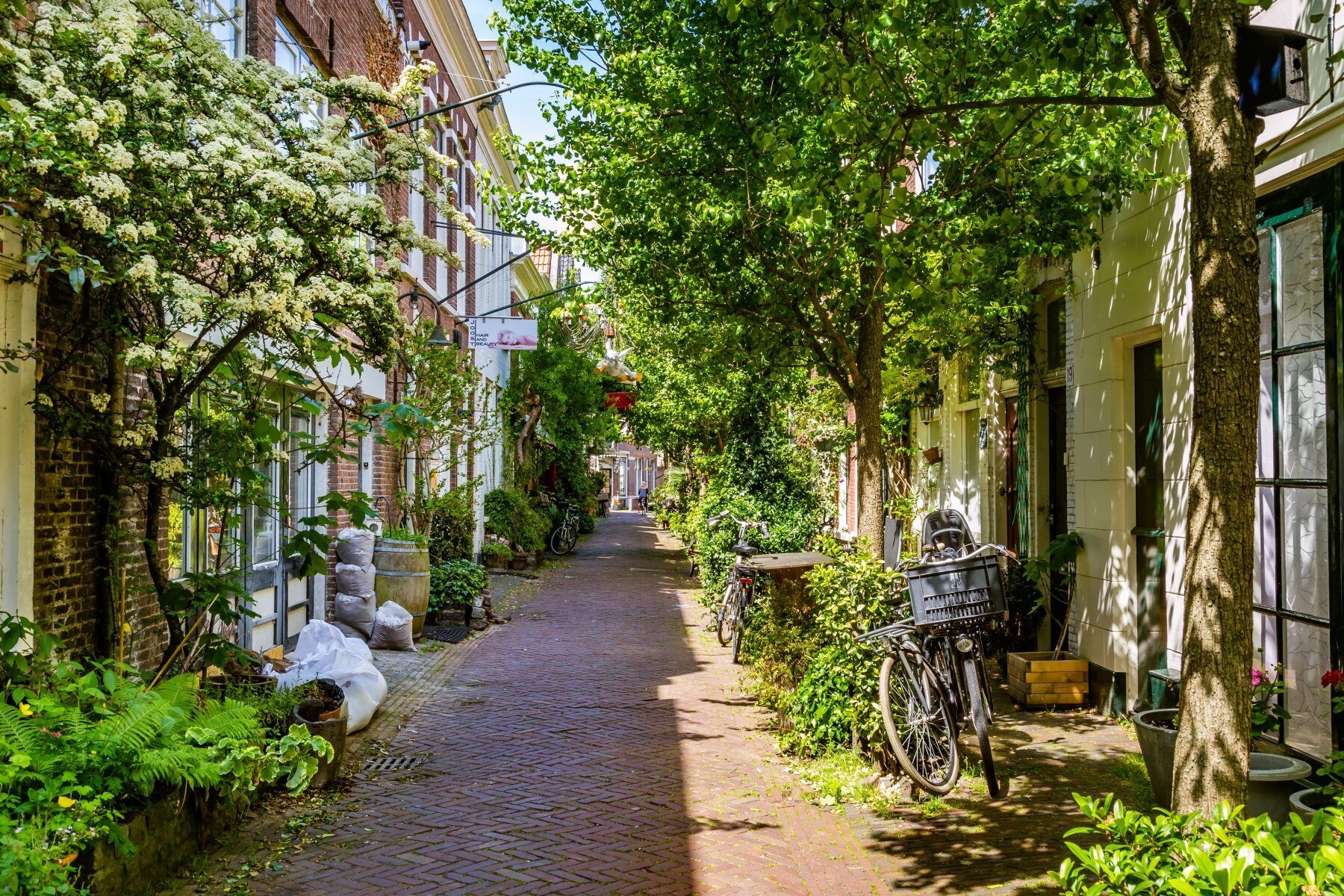 Haarlem, The Netherlands - May 31, 2019: Cozy green little street in Haarlem. Concept social inclusion and climate change